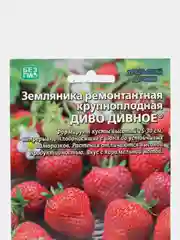 Земляника "Диво дивное" - ремонтантная, УД, семена