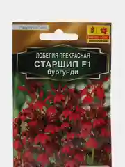 Лобелия "Старшип F1", бургунди, семена