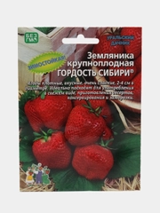 Земляника "Гордость Сибири", крупноплодная, УД, семена