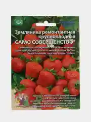 Земляника "Само совершенство" - ремонтантная, УД, семена