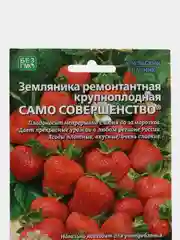 Земляника "Само совершенство" - ремонтантная, УД, семена