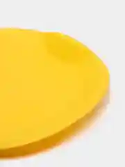 Ледянка круглая, цвет жёлтый