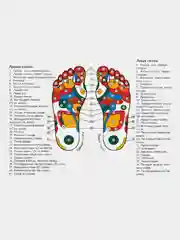 Миостимулятор EMS Foot Massager для стоп, массажер для ног, для рук, тренажер