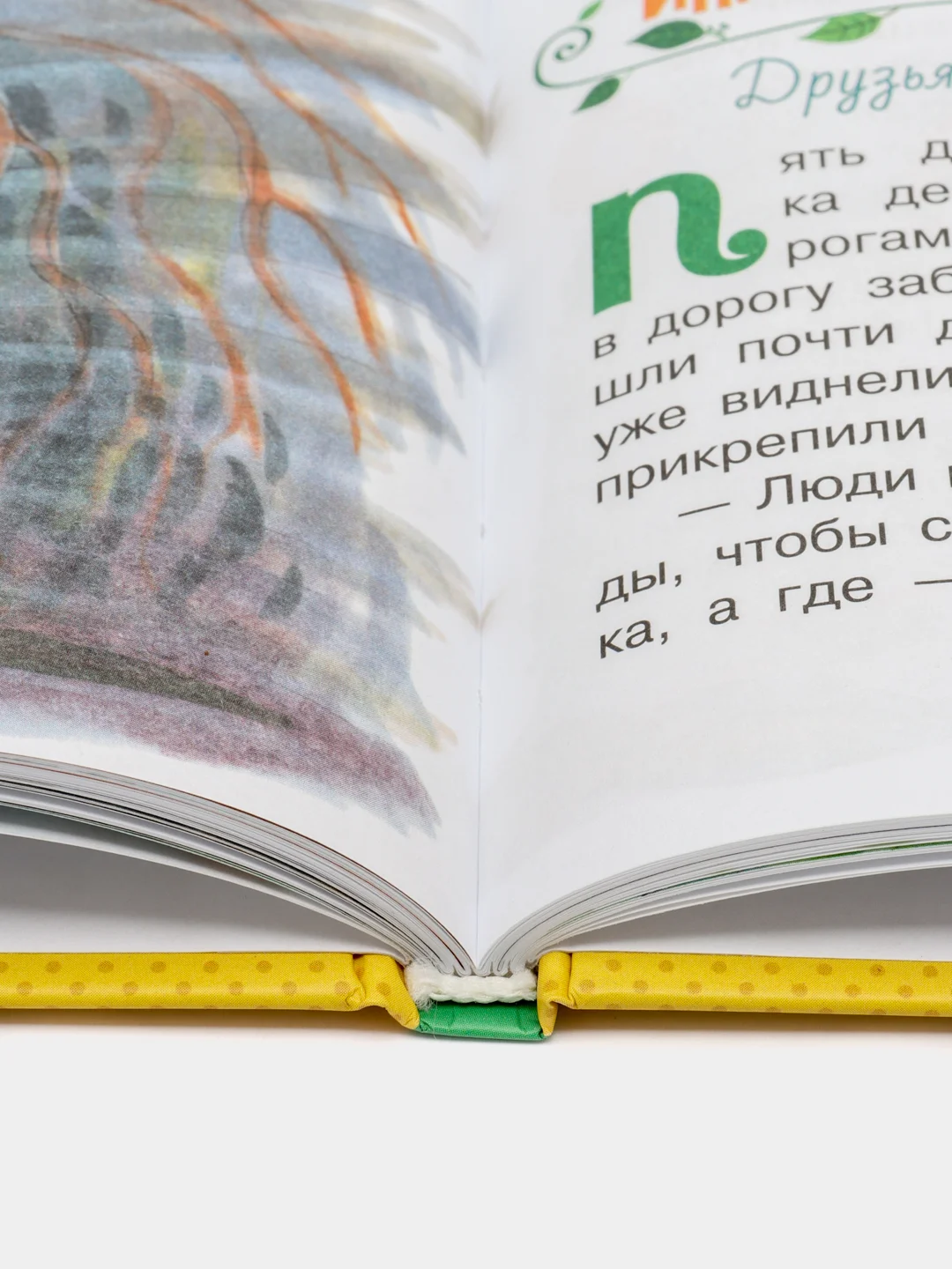 Дарья Мультановская: Огородные сказки