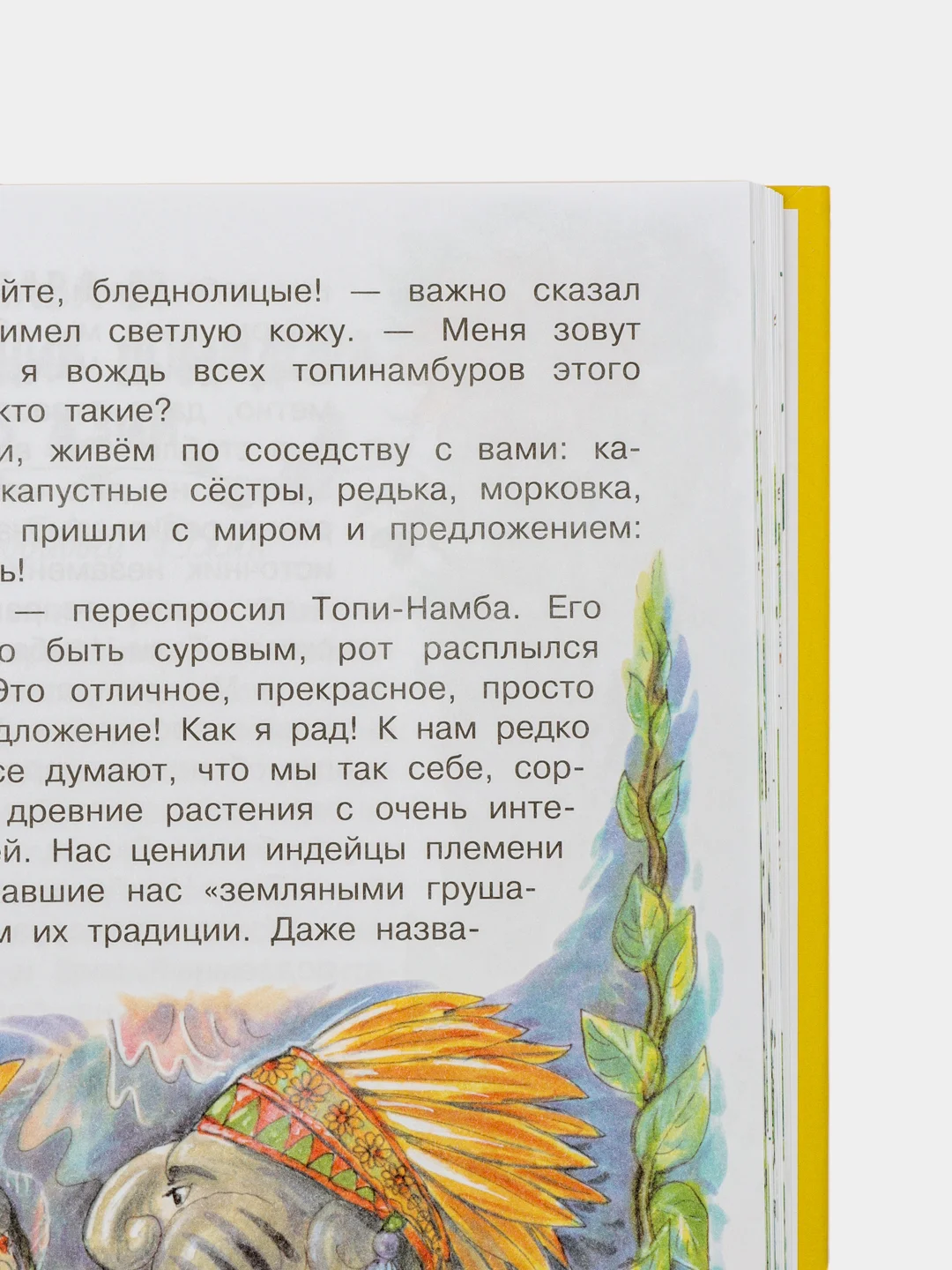 Дарья Мультановская: Огородные сказки