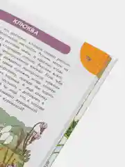 Эмма Янссон, "Первая энциклопедия почемучки, Мир вокруг"