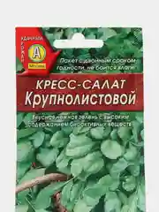 Кресс-салат Крупнолистовой, семена