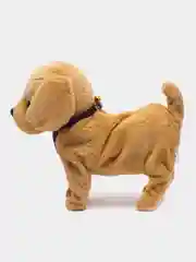 Бежевый собака с поводком
