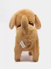 Бежевый собака с поводком