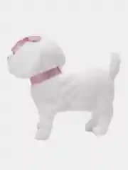 Молочный собака с поводком