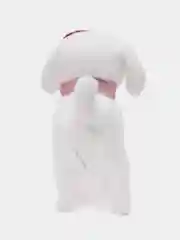 Молочный собака с поводком