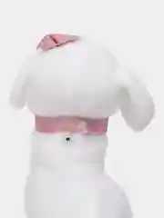 Молочный собака с поводком