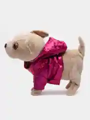 Пурпурный собака с поводком
