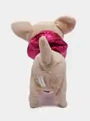 Пурпурный собака с поводком