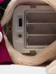 Пурпурный собака с поводком