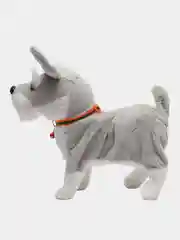 Серый собака с поводком