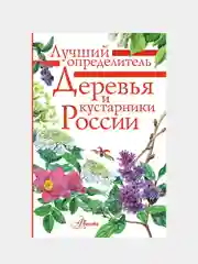 Деревья и кустарники России. Определитель