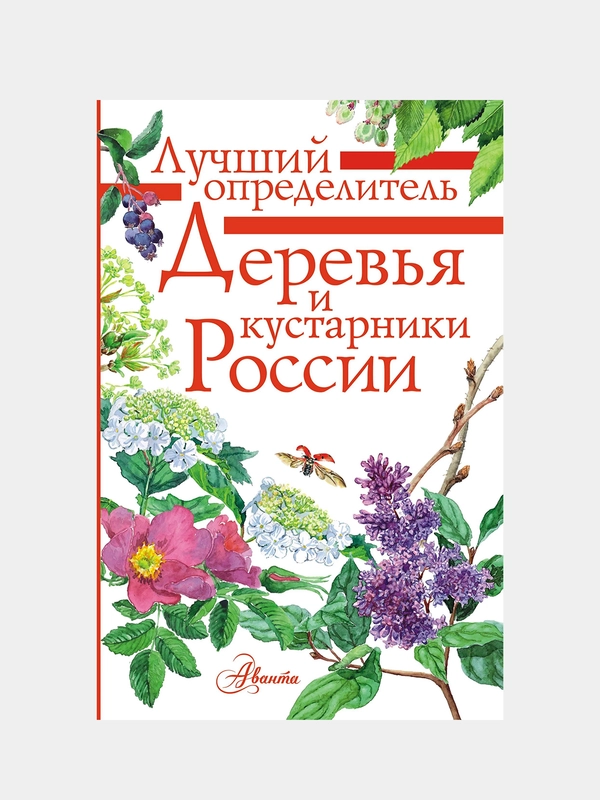 Деревья и кустарники России. Определитель