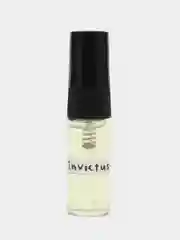 Духи по мотивам аромата Invictus, инвиктус, спрей 3мл