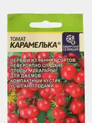 Томат Карамелька (семена)