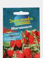 Земляника Мигнонетт ремонтантная, семена
