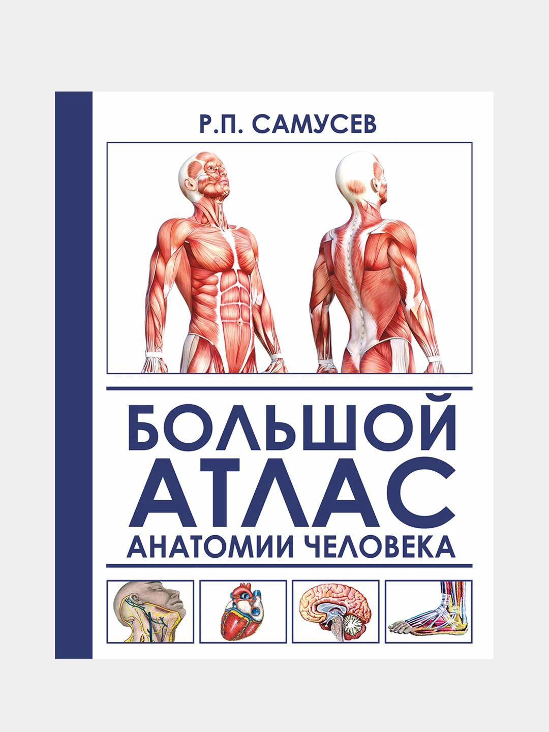 Большой атлас анатомии человека, Самусев Рудольф, Агеева Валентина