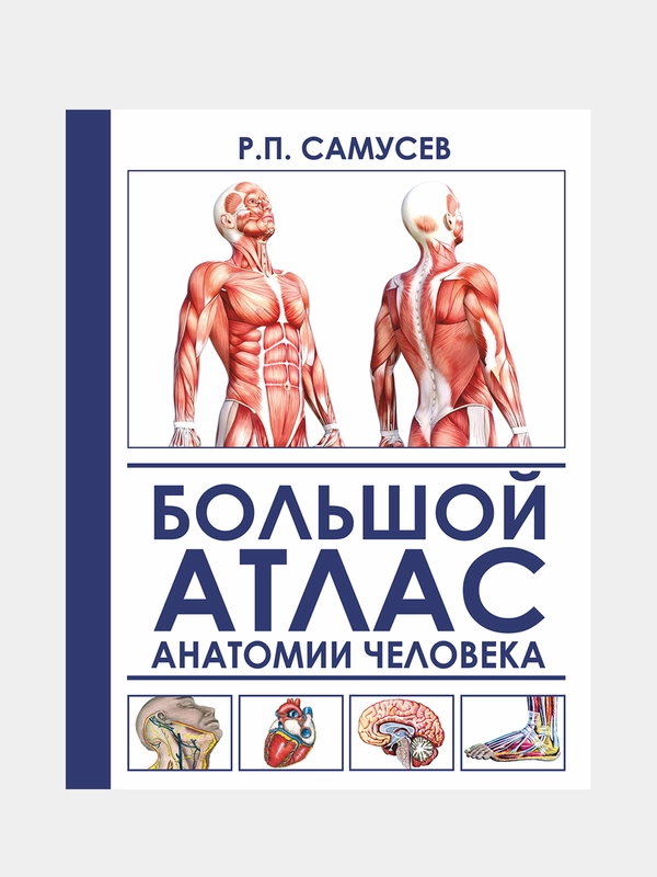 Большой атлас анатомии человека, Самусев Рудольф, Агеева Валентина