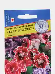 Глоксиния "Брокэйд", смесь, семена
