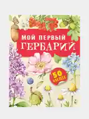 Мой первый гербарий