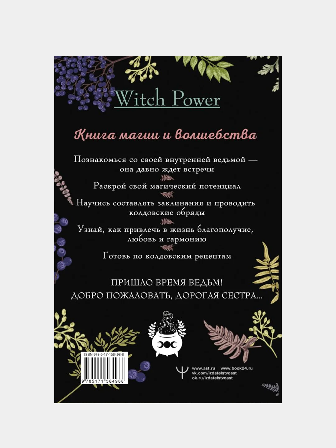 Домашняя магия. Гримуар начинающей ведьмы, Сибилла Стайер