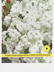 Петуния Лавина белая, семена, цветы