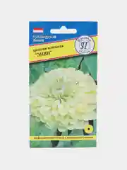 Цинния изящная "Энви", семена, цветы