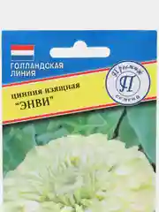 Цинния изящная "Энви", семена, цветы