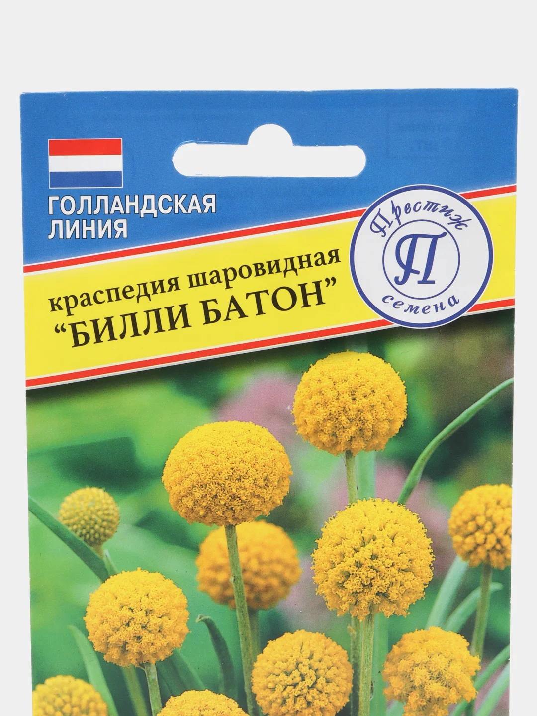Краспедия шаровидная "Билли Батон", семена, цветы