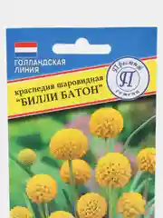 Краспедия шаровидная "Билли Батон", семена, цветы
