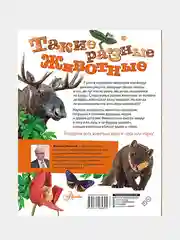 Такие разные животные, Мосалов Алексей