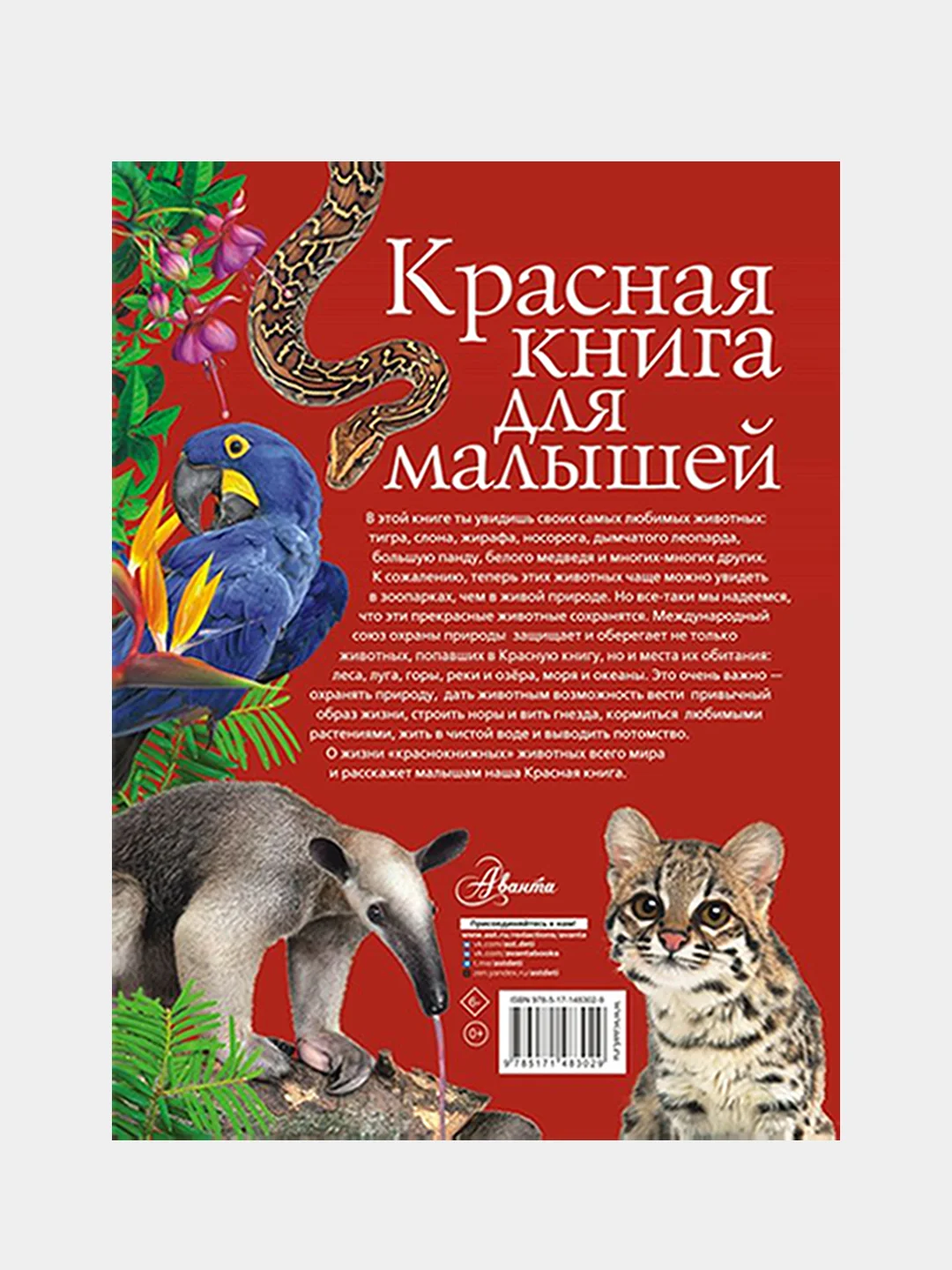Красная книга для малышей, Бабенко Владимир