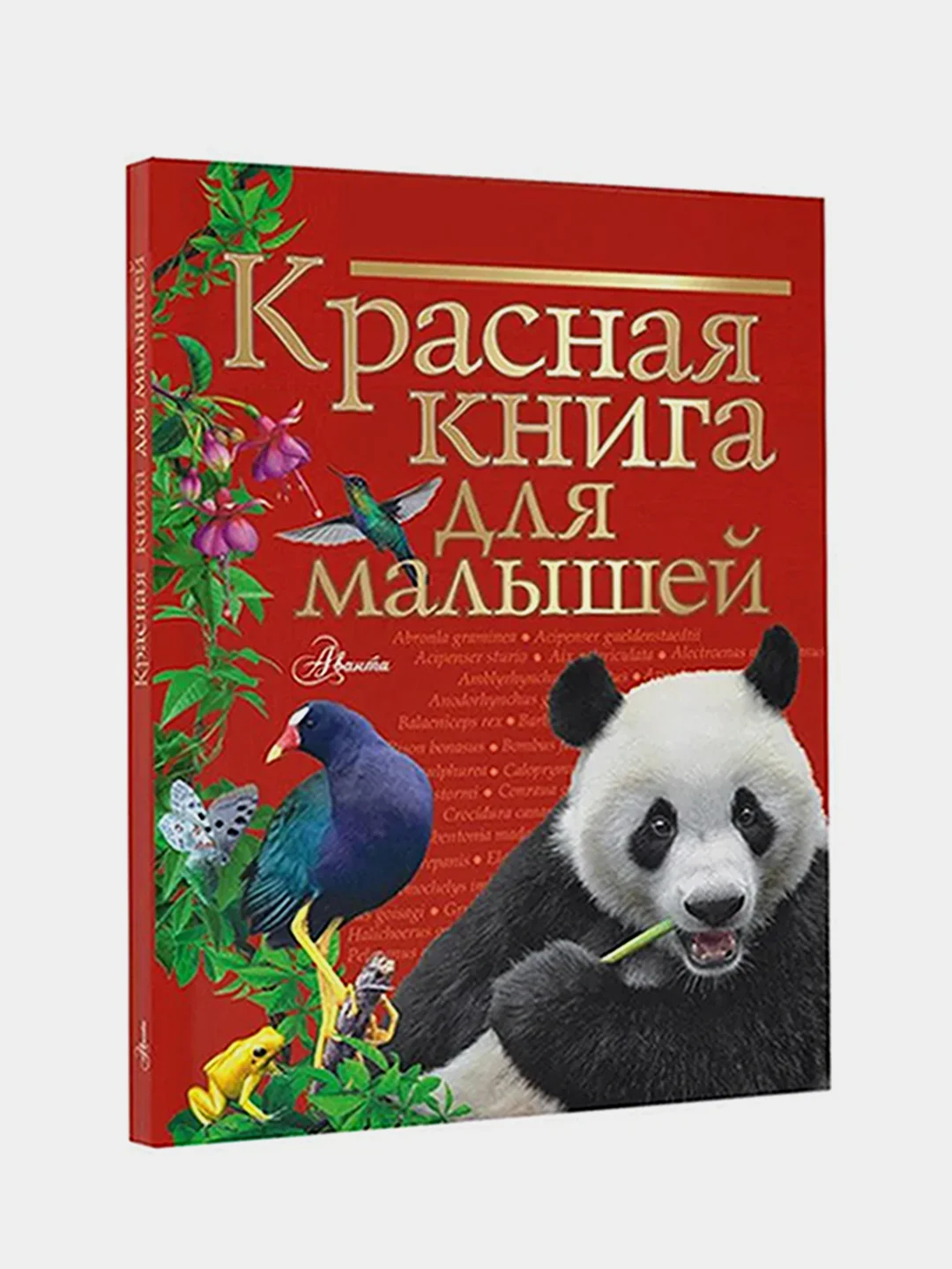 Красная книга для малышей, Бабенко Владимир