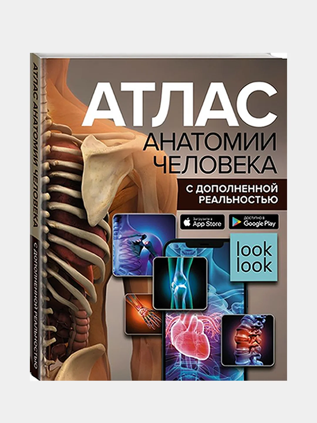 Атлас анатомии человека с дополненной реальностью, Спектор Анна