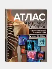 Атлас анатомии человека с дополненной реальностью, Спектор Анна