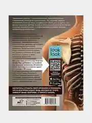 Атлас анатомии человека с дополненной реальностью, Спектор Анна