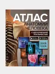 Атлас анатомии человека с дополненной реальностью, Спектор Анна