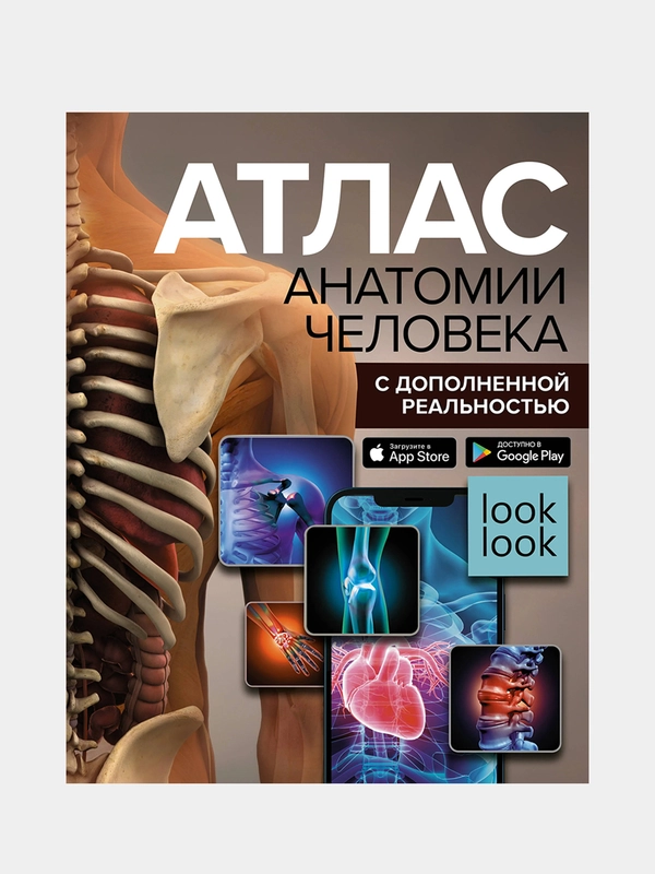 Атлас анатомии человека с дополненной реальностью, Спектор Анна