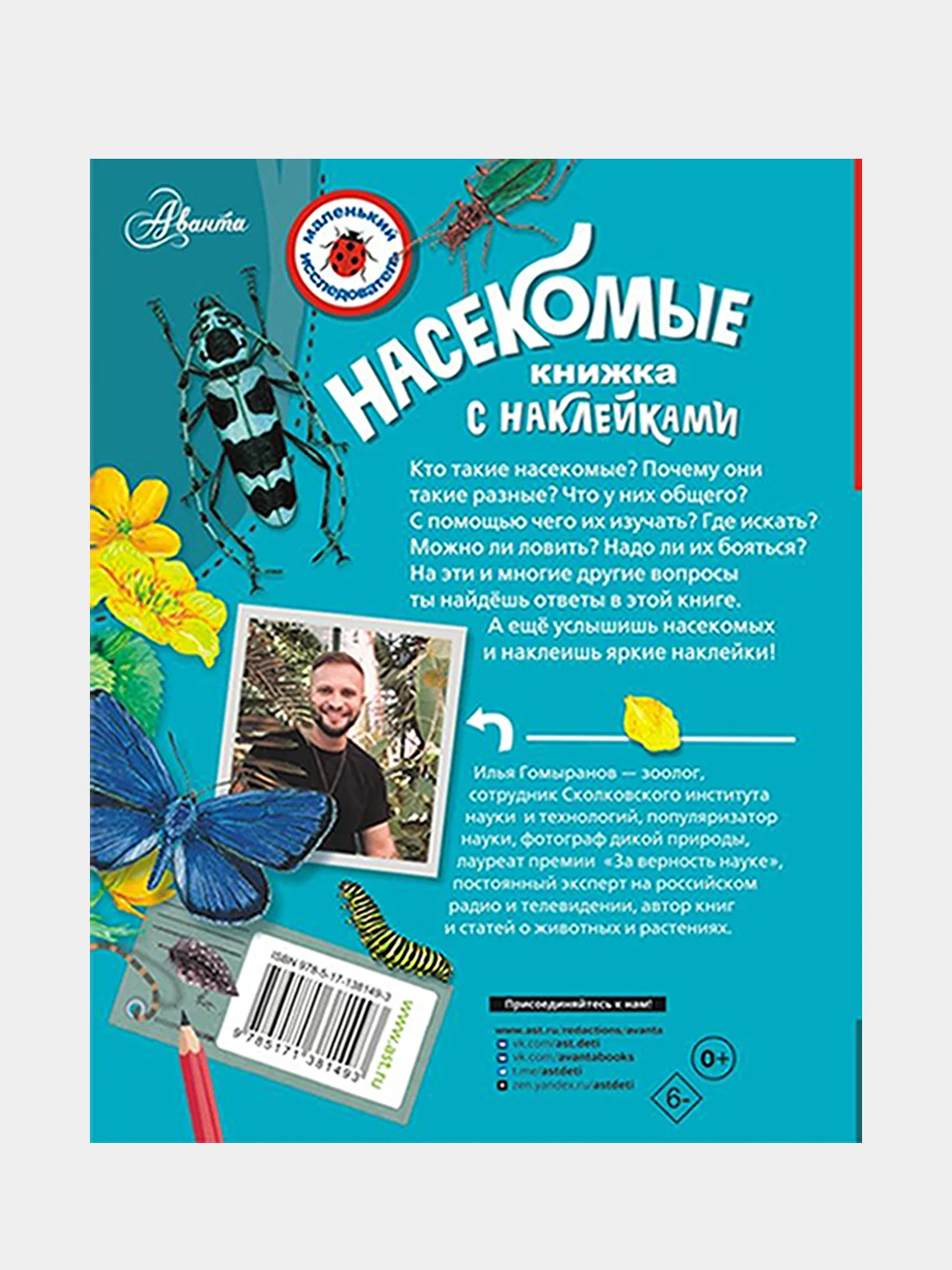 Насекомые
