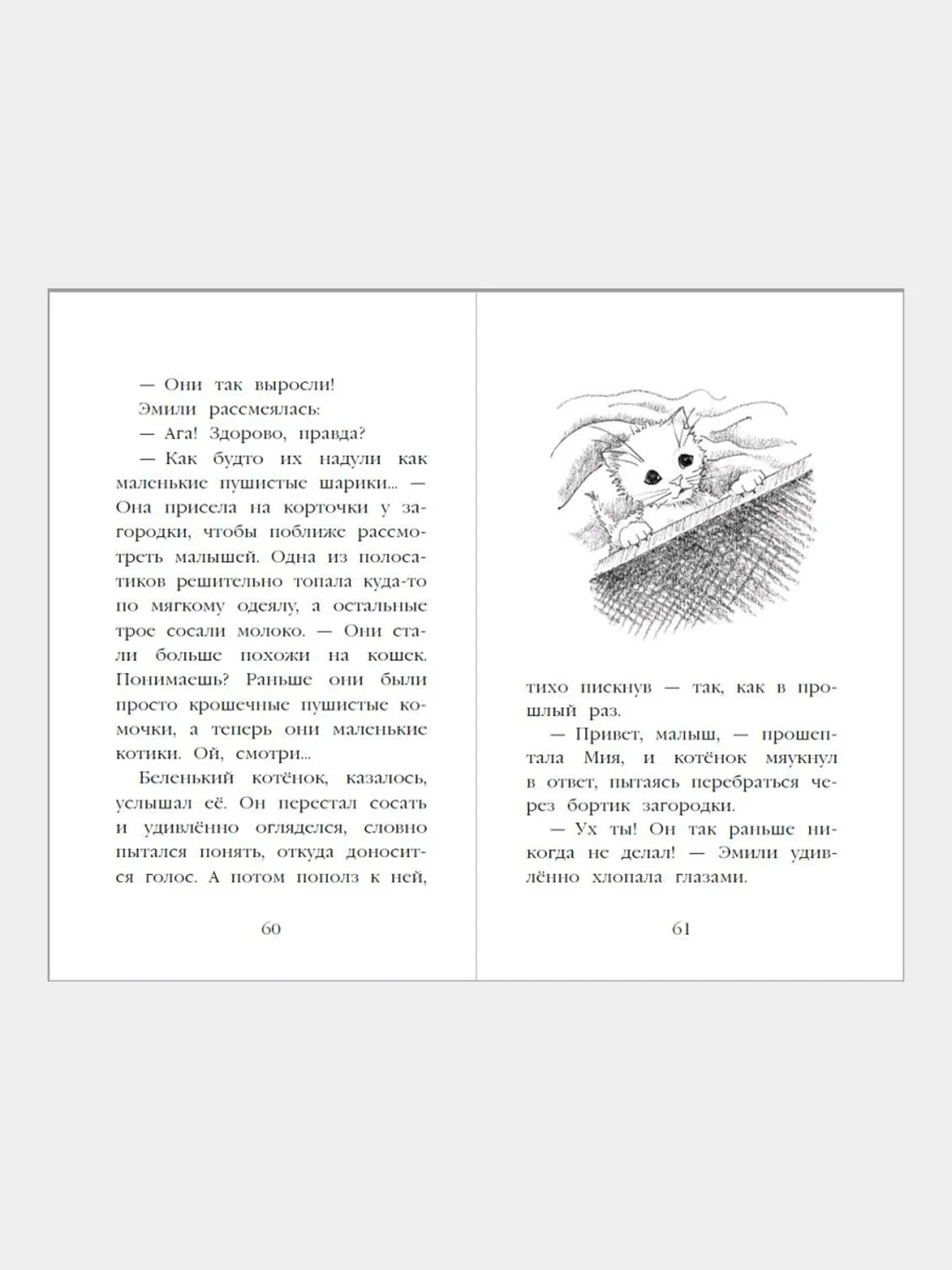 Котёнок Усатик, или Отважное сердце, Холли Вебб
