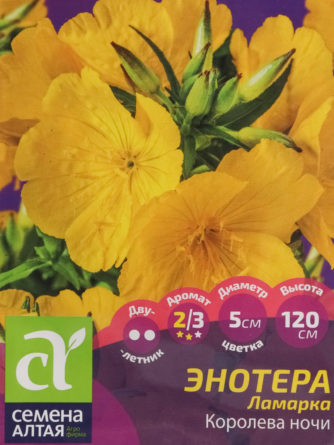 Энотера ламарка "Королева ночи", семена, цветы