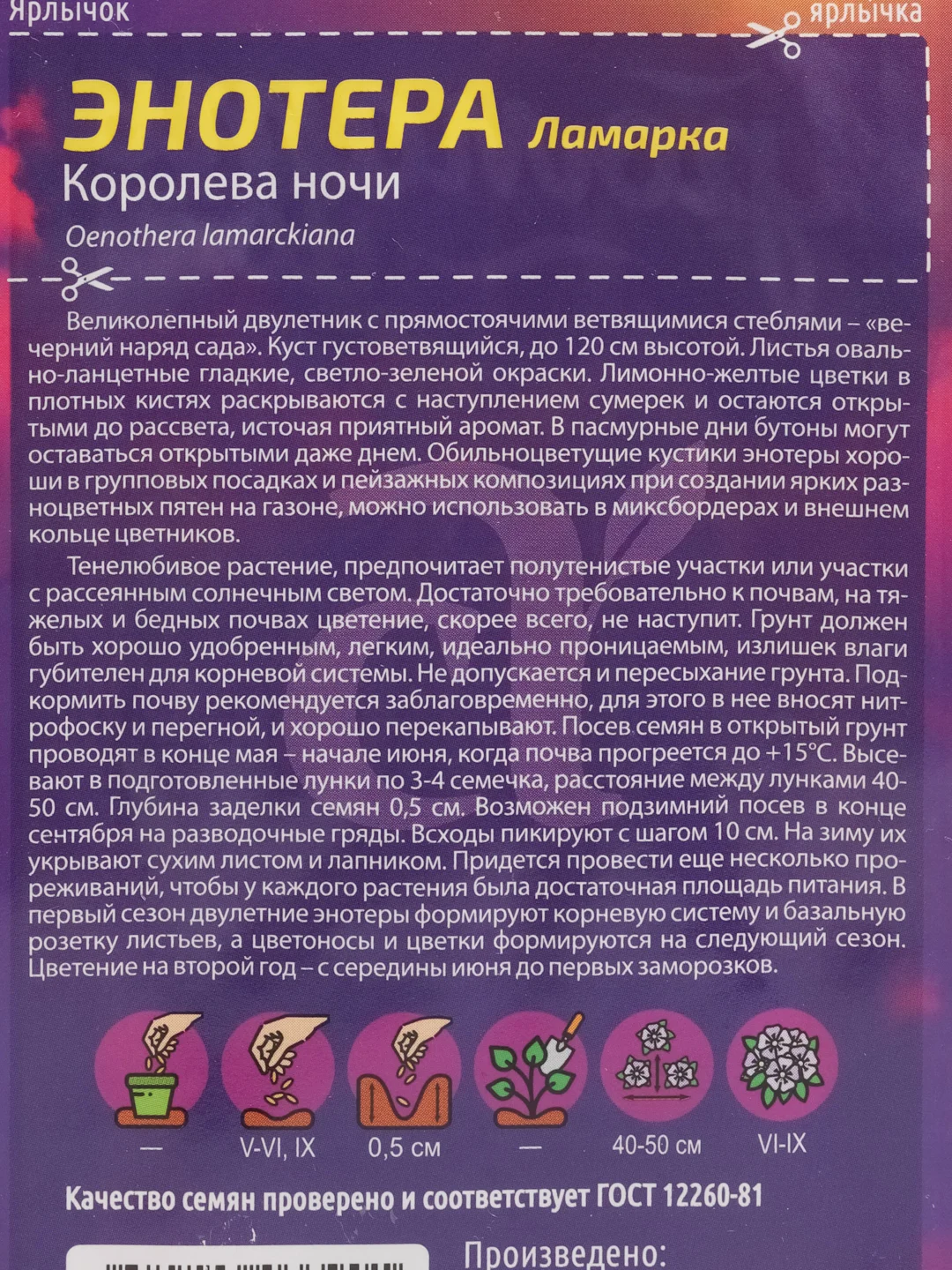 Энотера ламарка "Королева ночи", семена, цветы