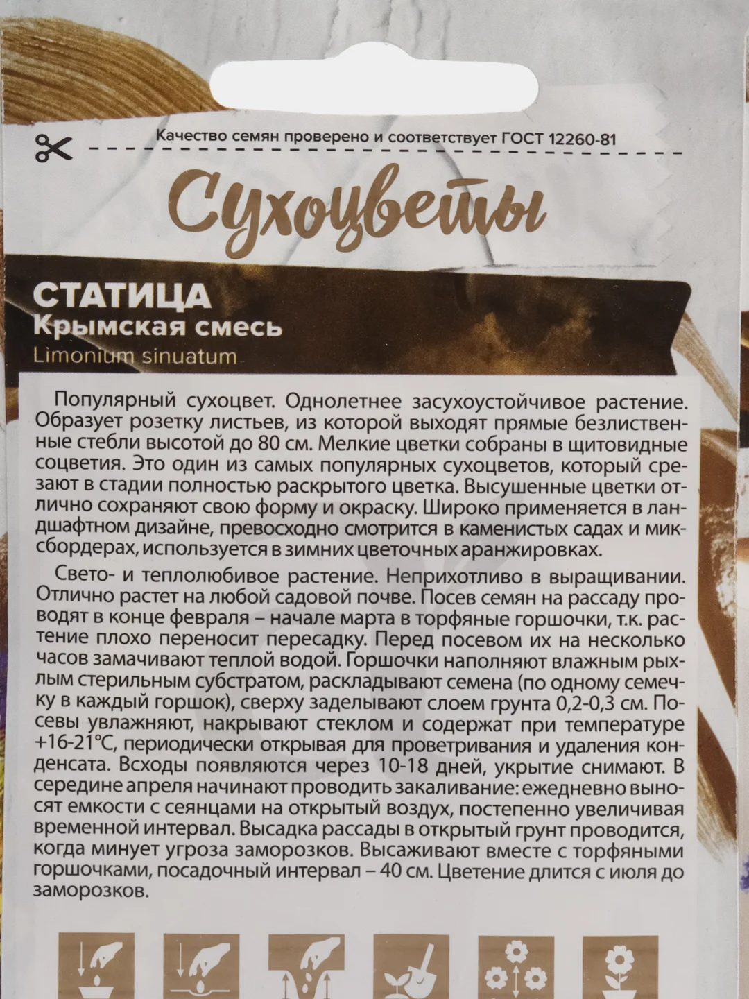 Статица Крымская Смесь (семена,цветы)