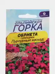Обриета Пурпурный каскад, семена, цветы