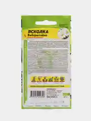 Ясколка Биберштейна, семена, цветы